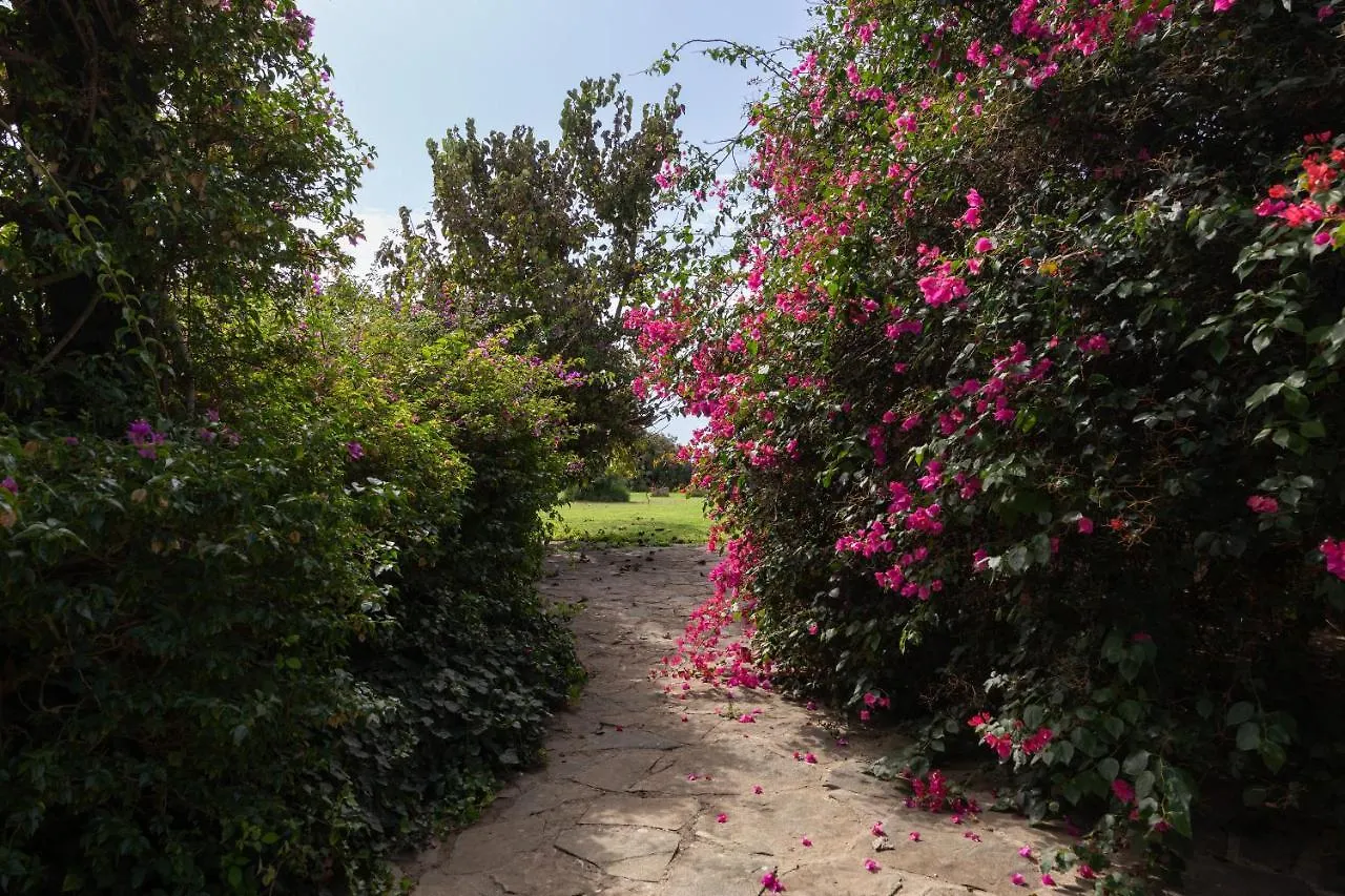 Tenuta Donna Vittoria - Mandarino Trapani